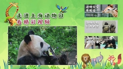 解鎖六一特別陪伴模式 中國互聯網電視帶您云游上海動物園，探秘動物飼養