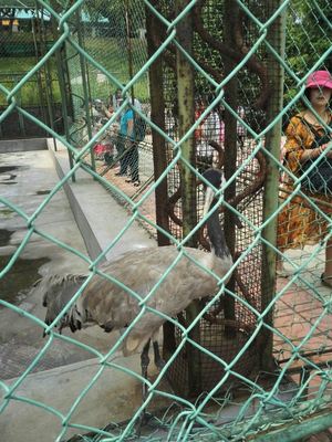 本溪動物園游覽體驗(yàn)與動物飼養(yǎng)觀察點(diǎn)評
