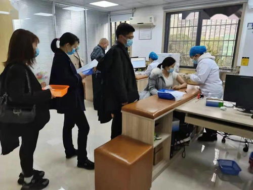 鉚足干勁辦實事，服務群眾開新局——岳麓區黨史學習教育引領教育咨詢服務新實踐
